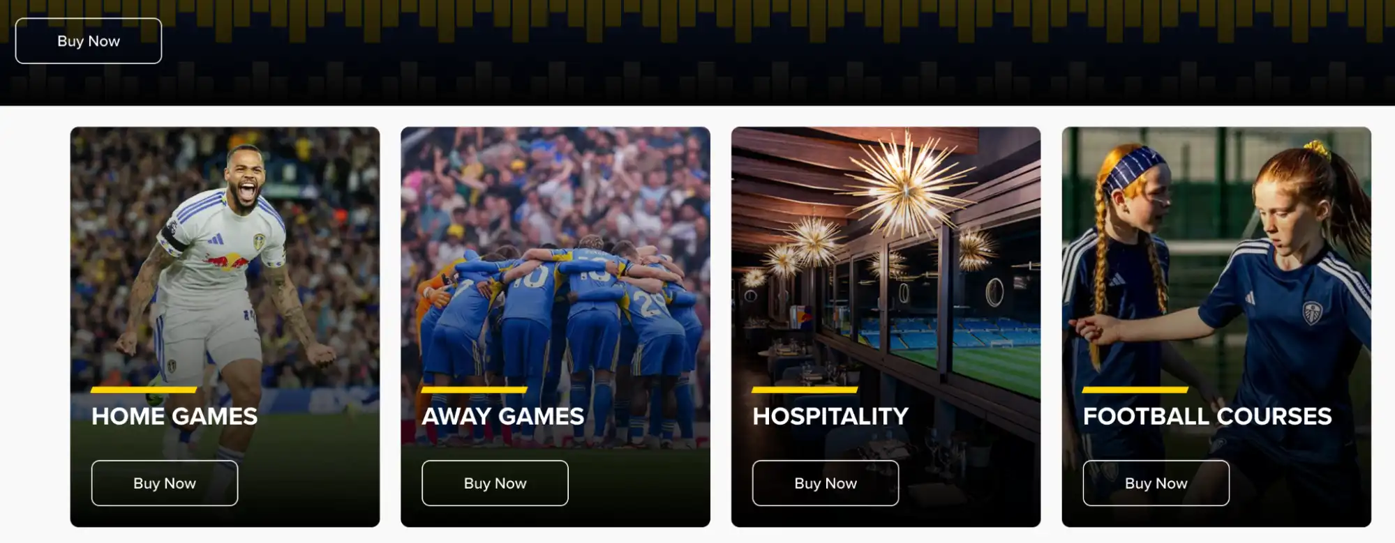 screenshot of ticketing portal